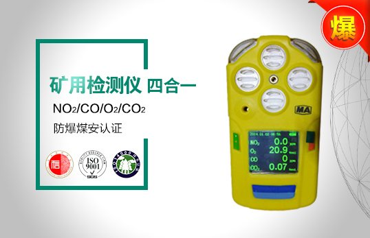 CD4（B）多参数气体测定器